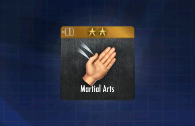 Martial Arts (Combat Training)