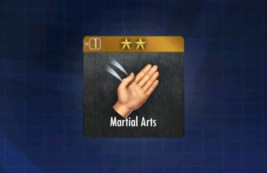 Martial Arts (Combat Training)